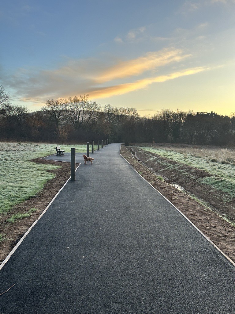 Kingswood Gate Active Travel path with dog